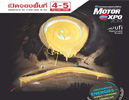 MOTOR EXPO 2013