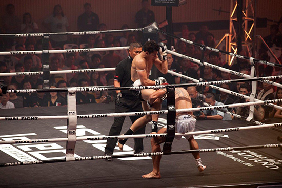 THAI FIGHT 2013