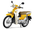 Ѻ,New Super Cub,öѡҹ¹͹,͹ Ѻ,͹ҫѺ,honda Super Cub