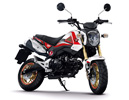 New Honda MSX125,Honda MSX125,MSX ,Honda MSX125 ,͹ MSX ,Ҥ MSX ,䫤͹,Դ MSX 