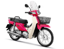 New Super Cub ,New Super Cub,Ѻ,͹ Ѻ,͹ Ѻ ,Super Cub ,͹ Super Cub ,ǩմ PGM-FI,͹ҫѾ